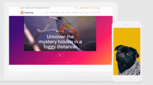 VisualModo Petshop WordPress Theme 3.2.6