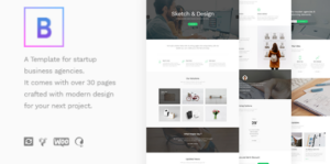 BoTheme - Startup Business WordPress Theme 1.1