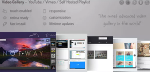 Video Gallery WordPress Plugin YouTube, Vimeo, Facebook pages 12.25