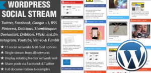 WordPress Social Stream 1.6.2.1