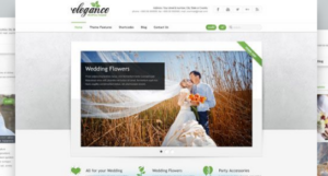 AIT - Elegance WordPress Theme 1.26