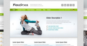 AIT - Freestyle WordPress Theme 2.53