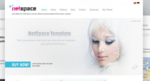 AIT - Netspace WordPress Theme 1.27