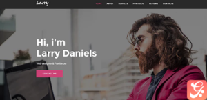 Larry. - Personal Onepage WordPress Theme 1.2.1