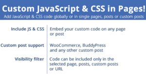 Custom JavaScript & CSS in Pages! 3.8