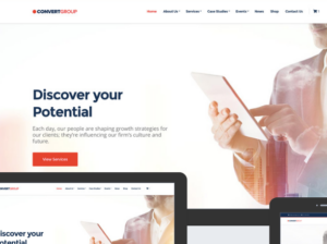 CSSIgniter Convert WordPress Theme 1.1.1