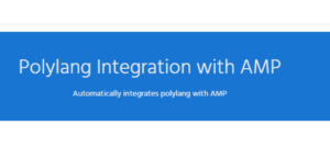 Polylang For AMP 1.2.10