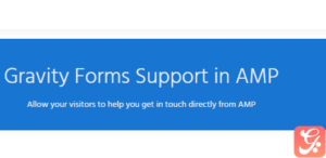 AMP Gravity Forms 2.9.36