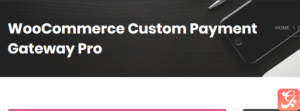 WooCommerce Custom Payment Gateway Pro 2.9.0