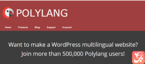 Polylang Pro 3.6.1