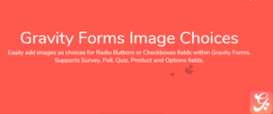 Jetsloth - Gravity Forms Image Choices 1.4.27