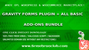 Gravity Forms Plugin + All Basic Add-Ons Bundle