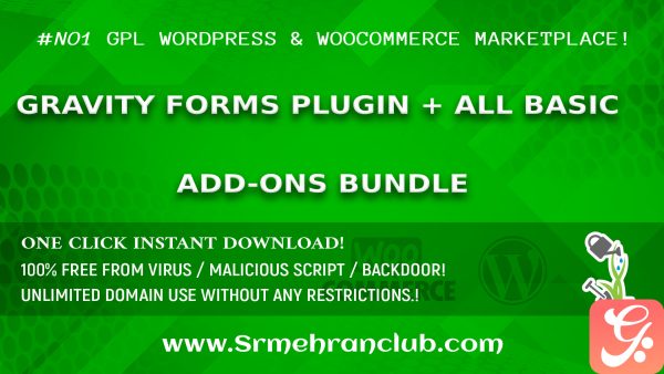 Gravity Forms Plugin + All Basic Add-Ons Bundle