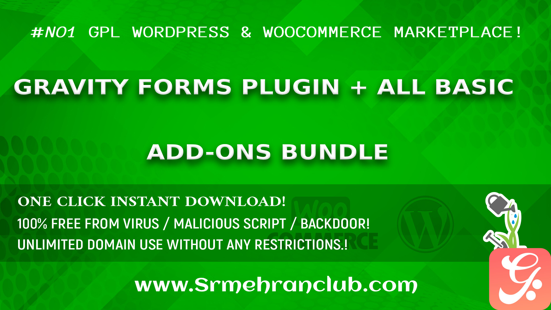 Gravity Forms Plugin + All Basic Add-Ons Bundle
