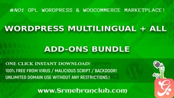 WordPress Multilingual + All Add-Ons Bundle
