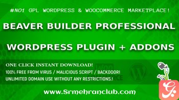 Beaver Builder Professional WordPress Plugin + Addons 2.7.4.4