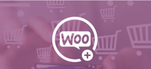 Gravity Flow WooCommerce 1.7.0