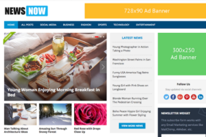 HappyThemes NewsNow Pro 1.7