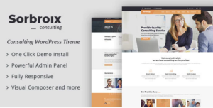 Sorbroix : Business Consulting WordPress Theme themeforest