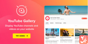 Elfsight YouTube Gallery 3.5.0