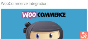 WP Adverts – WooCommerce Integration Addon 1.7.1