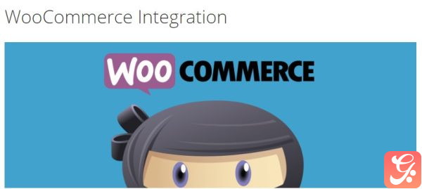 WP Adverts %E2%80%93 WooCommerce Integration Addon