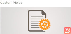 WP Adverts – Custom Fields Addon 1.5.5