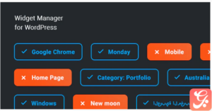 Widget Manager – WordPress widgets management system 1.0.2