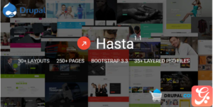 Hasta - Multipurpose Responsive Commerce Theme