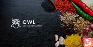 OWL - Cafe & Restaurant Drupal 8.8 Theme