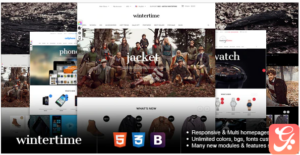 Responsive Magento Theme - Gala Wintertime