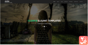 Aven - Multipurpose Parallax Muse Template