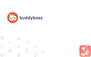 BuddyBoss Child 1.0.1