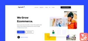Egrowit - Digital Marketing Consultant Elementor WordPress Theme