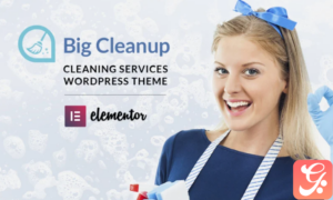 Big Cleanup - Cleaning Services Responsive WordPress Theme