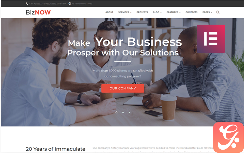Biznow - Business Consulting Elementor WordPress Theme WordPress