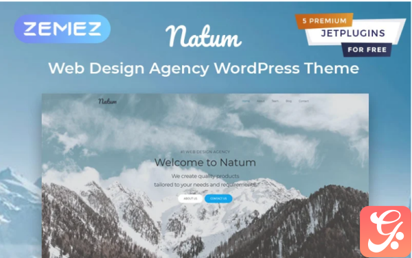 Natum Web Design Multipurpose Modern Elementor WordPress Theme 1
