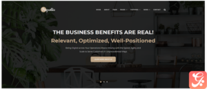 Payrollix - Internet Business Accounting WordPress Theme