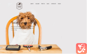 Furry - Pet Grooming WordPress Theme