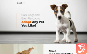 PetInn - Animal Shelter Responsive WordPress Theme