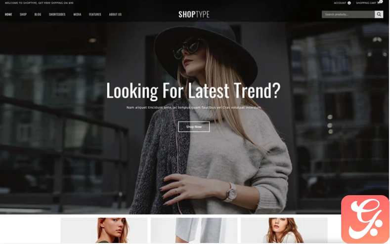 ShopType - Fashion Store WooCommerce Theme