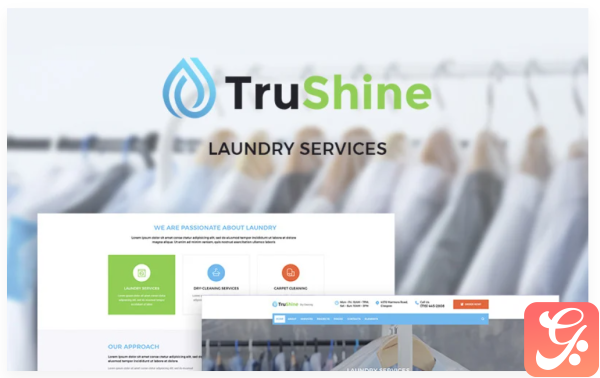 TruShine Laundry Service WordPress Theme