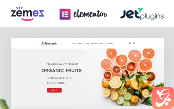 Fructesh - Organic Fruits Delivery Multipurpose Modern Elementor WordPress Theme
