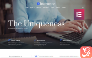 Instructee - Consulting Services Elementor WordPress Theme