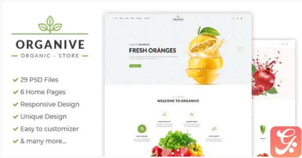 Organive Organic Store Eco Food Products PSD Template