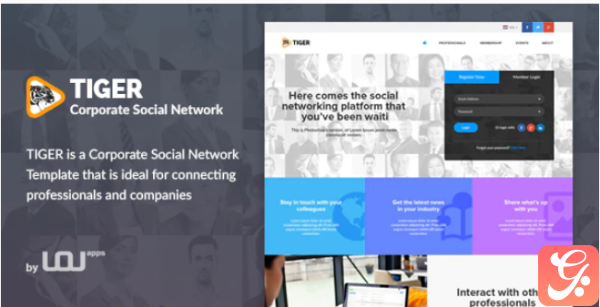Tiger Corporate Social Network Template