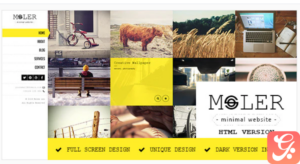 Moler - Full Screen Portfolio Template