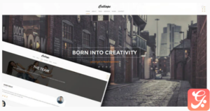 Calliope - Clean Responsive HTML5 Template