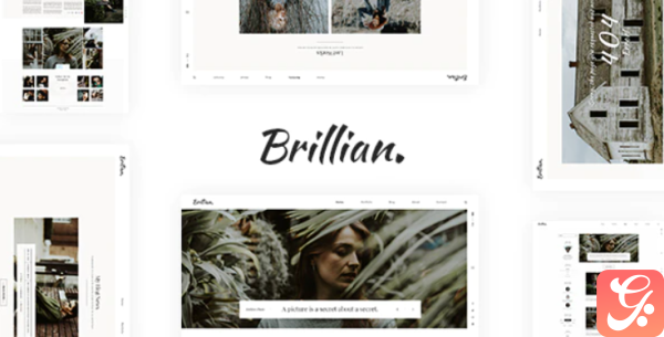BRILLIAN Photography Personal Blog HTML Template