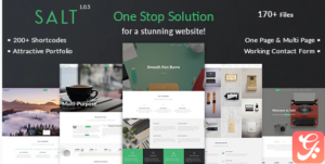 Salt - Multi-purpose HTML5 Template